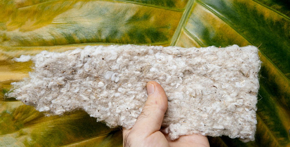 cotton insulation vs fiberglass