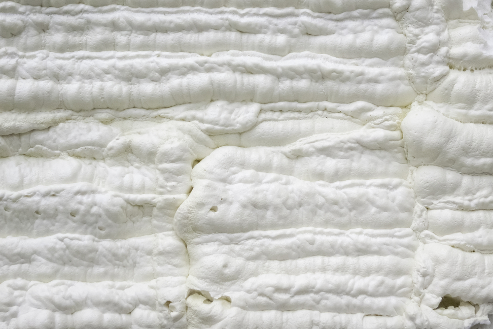 spray foam insulation mold
