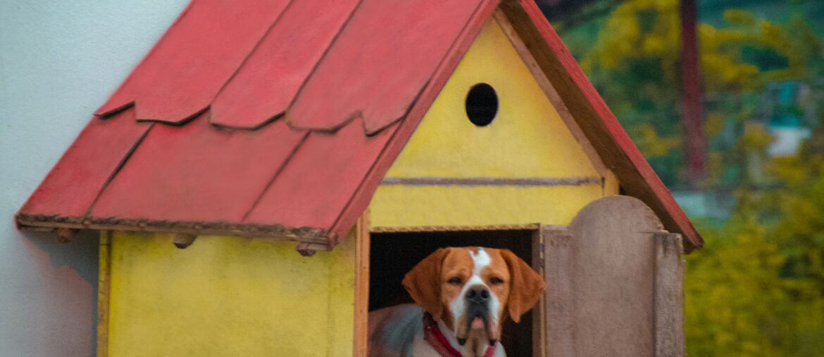 How to insulate a dog house